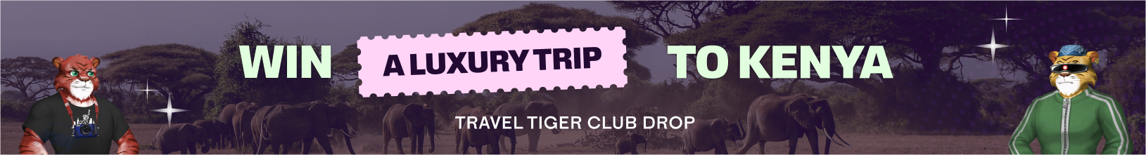 landing-page-nft-kenya